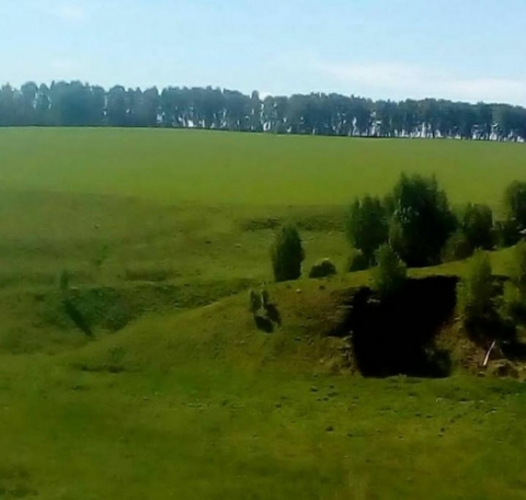 Озимые хлеба