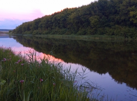 Лучший фотопейзаж