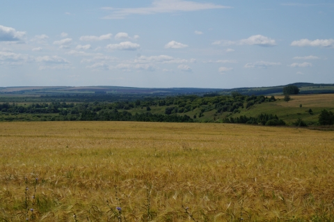 Родные края