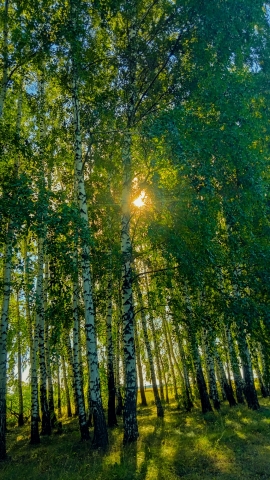 Фотопейзаж 