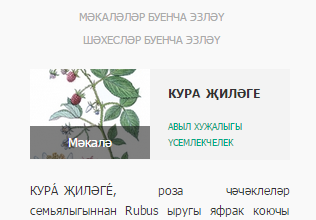 Татар иле - Энциклопедия