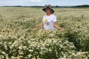 Дəүаничка в ромашках Дəүаничка в ромашках