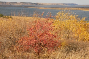Осенний блюз
