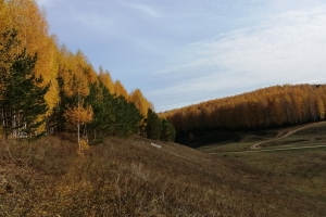 Золотая осень