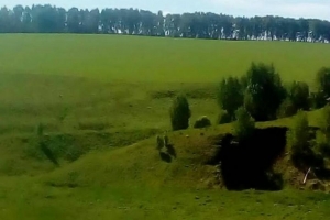 Озимые хлеба