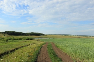 Природа Апастовского края Природа Апастовского края