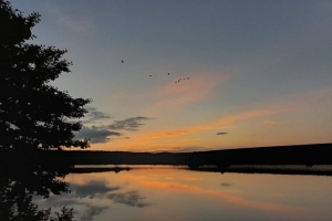 Лучший фотопейзаж Лучший фотопейзаж