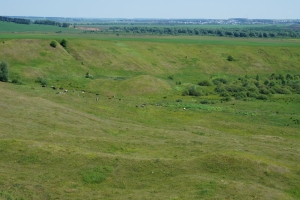 Родные края Родные края