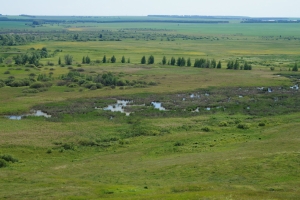 Родные края Родные края
