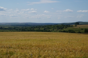 Родные края Родные края