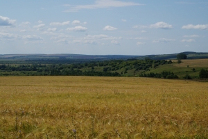 Родные края Родные края