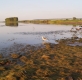 Вода - источник жизни